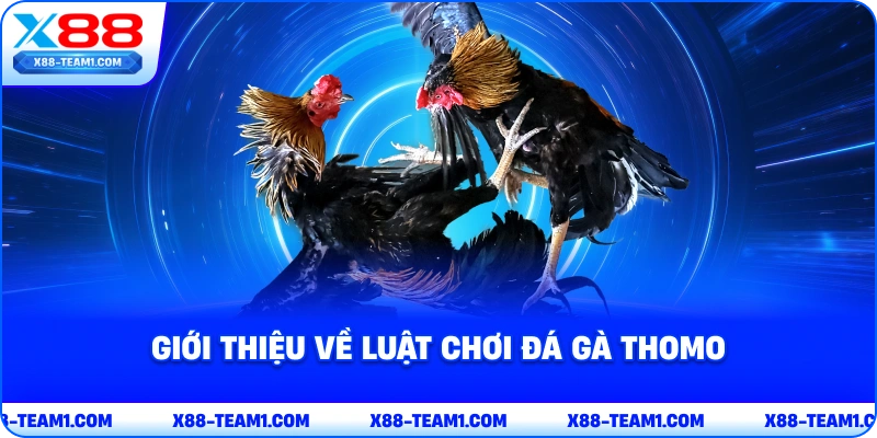 gioi-thieu-ve-luat-choi-da-ga-thomo